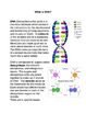 Common Core Biology: Genetics