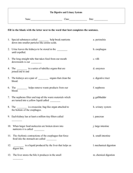 Worksheets Urinary System Worksheet urinary system worksheet sharebrowse worksheet