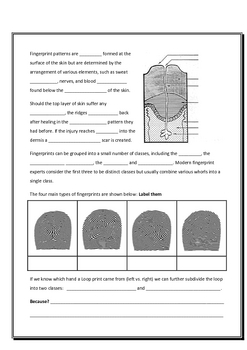 Forensic Science: Forensic Science Blood Spatter Worksheets