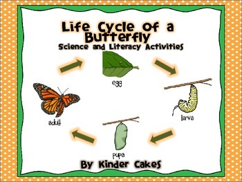 Life Cycle of a Butterfly Science and Literacy Activities