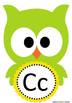 Owl Themed Word Wall and Alphabet