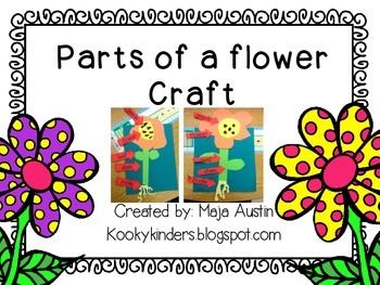 Parts of a Flower Craft