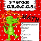 3rd Grade Common Core Math Review:  Bundled 4th 9 Weeks