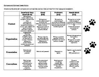 compare and contrast essay examples for 6th grade
