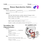 Human Reproduction and Development Notes Outline Lesson Plan