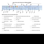Microsoft Excel Formula Ribbon Worksheet