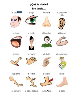 Pin on Body Parts